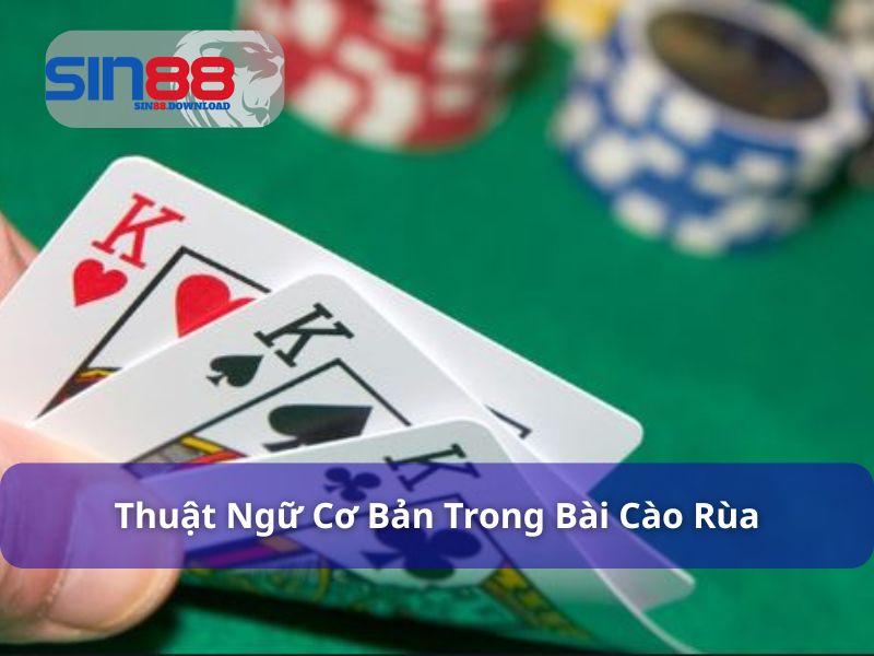 Các thuật ngữ cơ bản trong Bài Cào Rùa