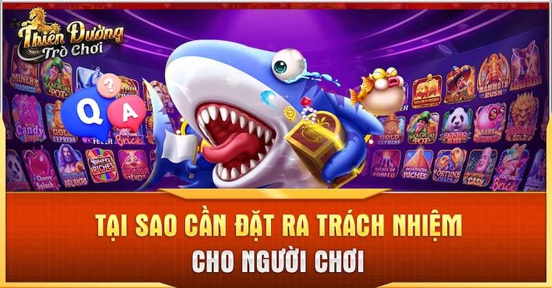 Vì sao chơi có trách nhiệm tại TDTC lại quan trọng?